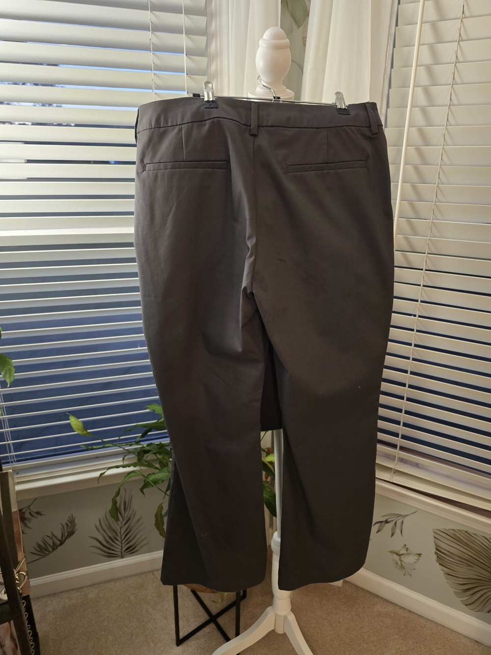 Lee- Classic Straight-Leg Dress Pants